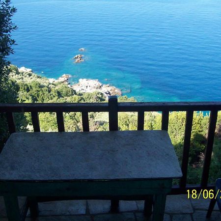 Apartments In Mylopotamos Bagian luar foto