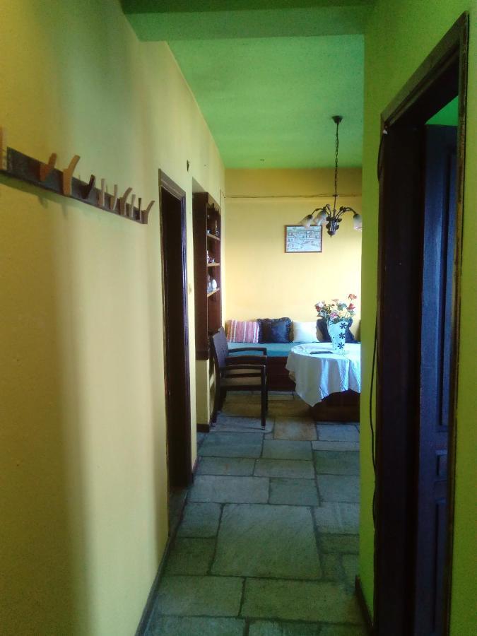 Apartments In Mylopotamos Bagian luar foto