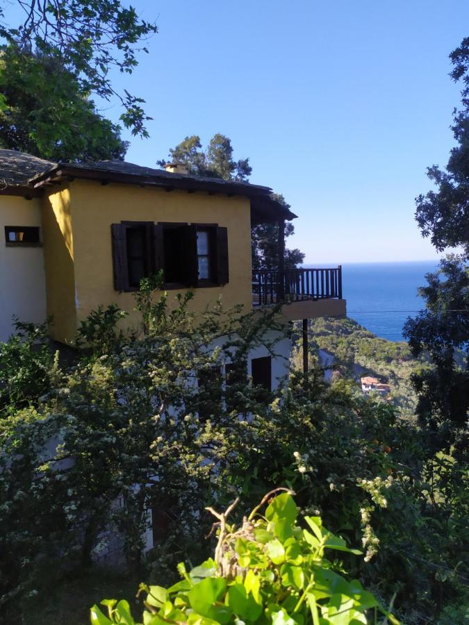 Apartments In Mylopotamos Bagian luar foto